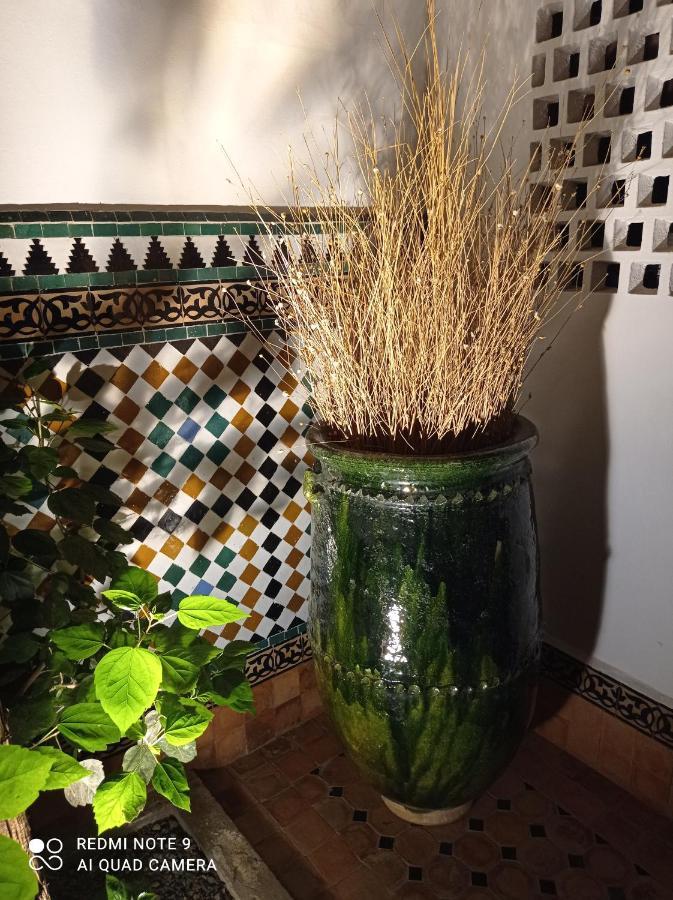 Riad Dar Badiaa 세일 외부 사진